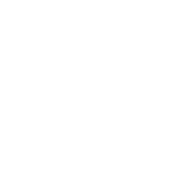 Clue.webp