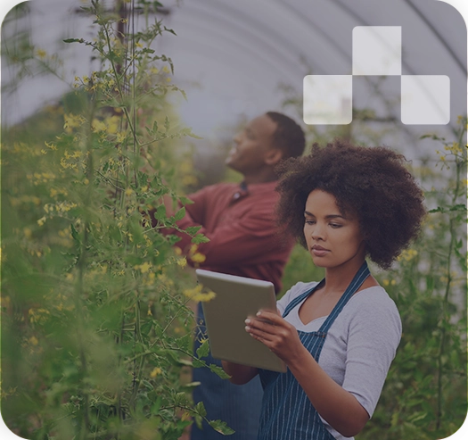 Widget-Agriculture.webp