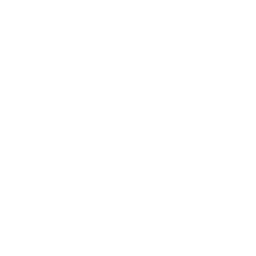 arm.webp